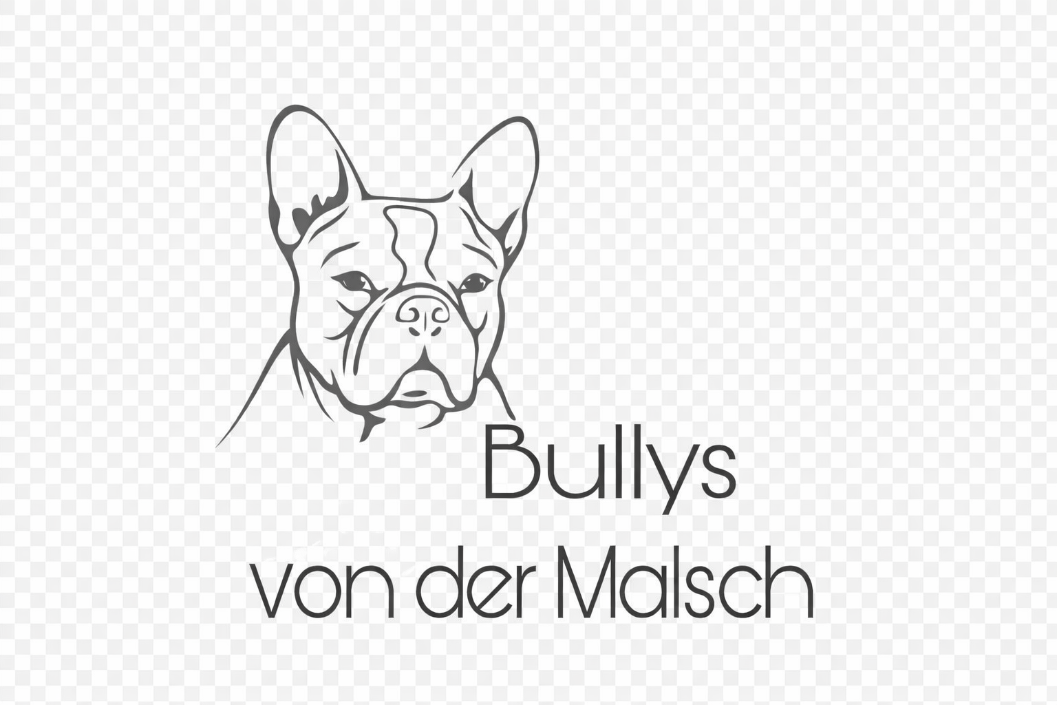 Züchterlogo Flashback